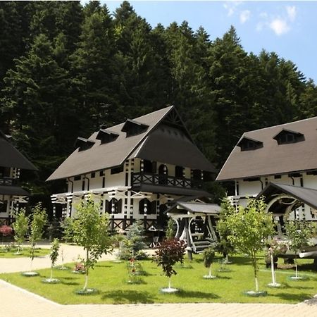 Complex Lions Bucovina Hotel Voronet Exterior foto
