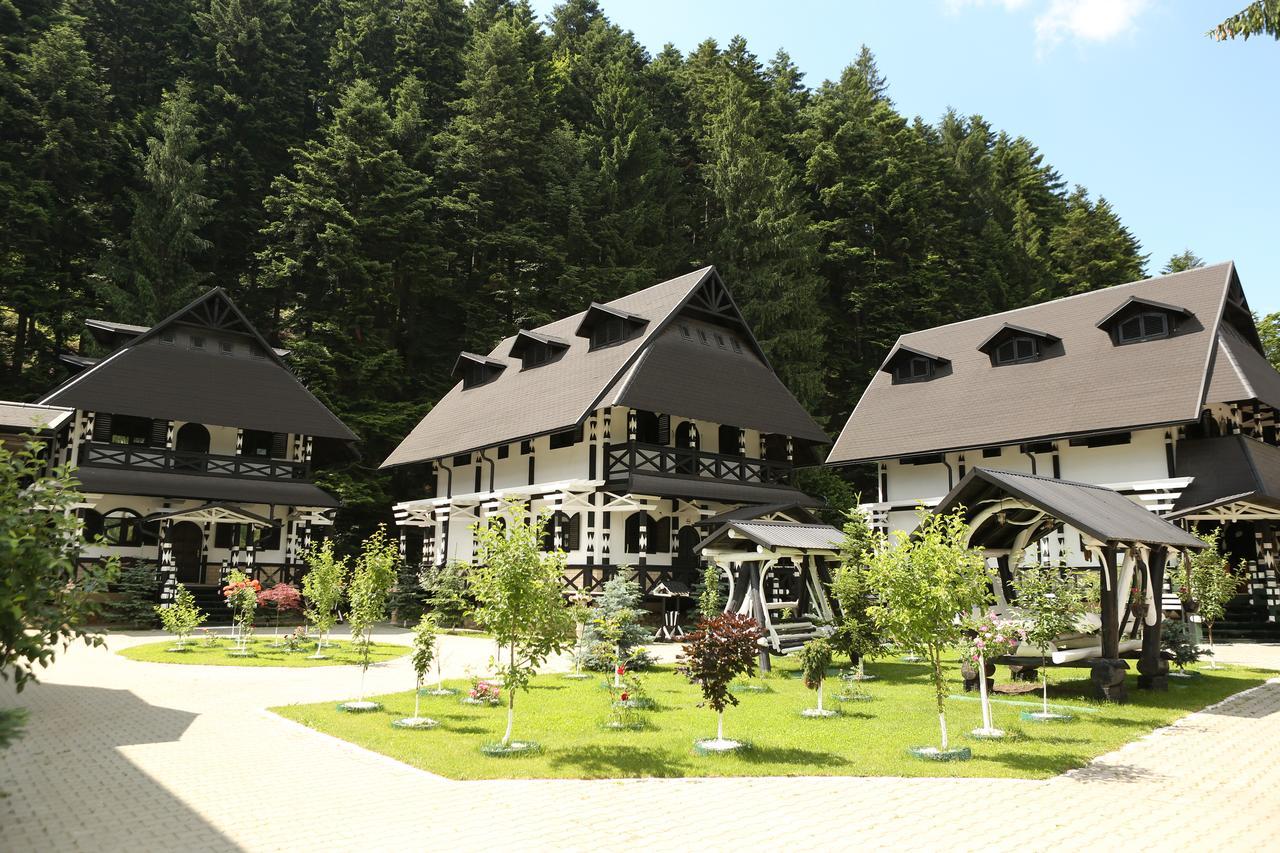 Complex Lions Bucovina Hotel Voronet Exterior foto