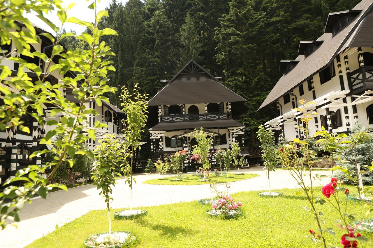 Complex Lions Bucovina Hotel Voronet Exterior foto